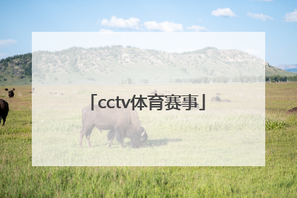 cctv体育赛事「CCTV体育赛事历年ID」
