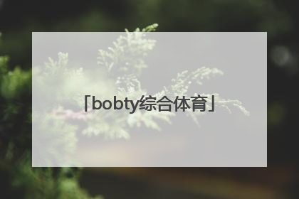 「bobty综合体育」bobty综合体育官方入口