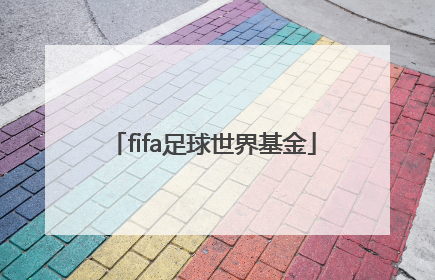 「fifa足球世界基金」FIFA足球世界基金返利2022