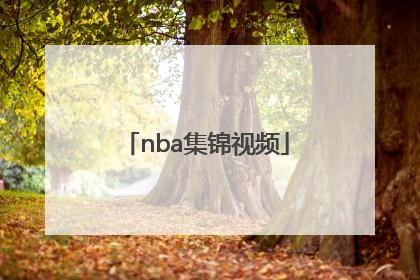 「nba集锦视频」NBA集锦视频下载